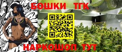 шишки Лесосибирск