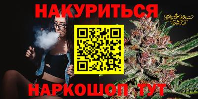 шишки Лесосибирск