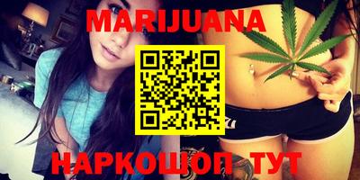 шишки Лесосибирск