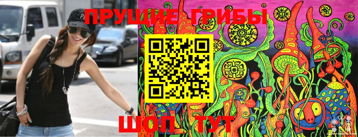 Ковров  Псилоцибиновые грибы Cubensis  Вход с VPN 