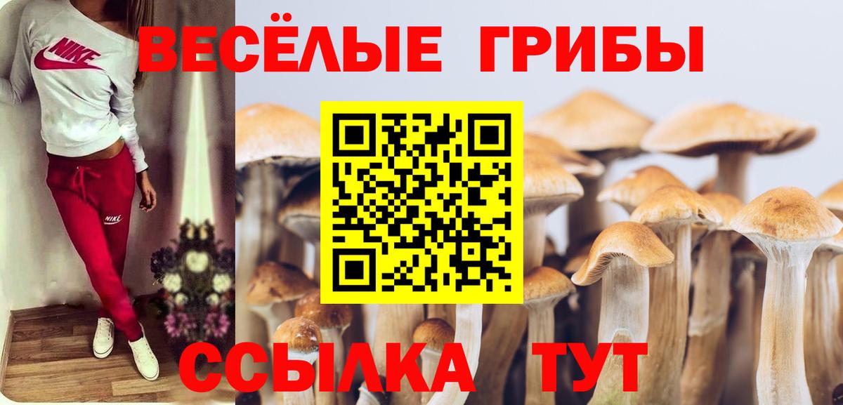 Галлюциногенные грибы прущие грибы Ковров